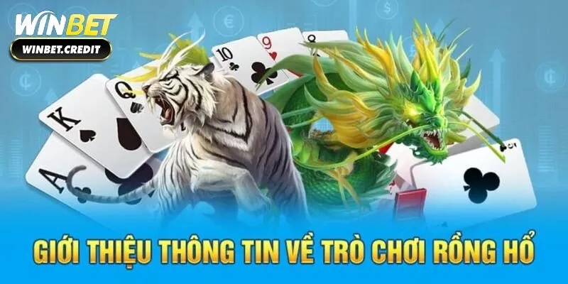 Sơ lược thông tin trò chơi Rồng Hổ