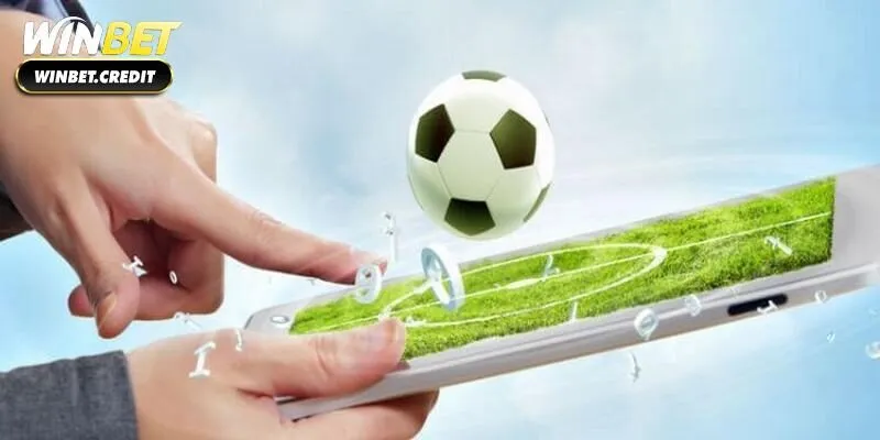 Kinh nghiệm đặt cược thể thao hữu ích tại Winbet